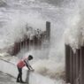 Gujarat will win Cyclone will lose