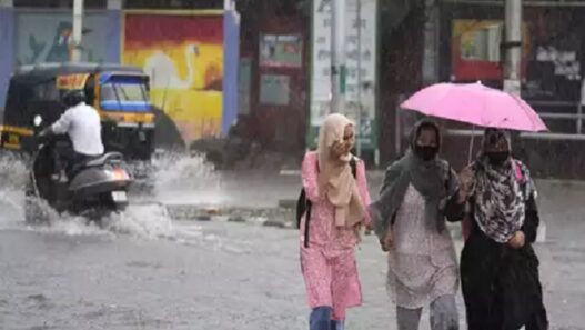 All schools in Delhi will remain closed tomorrow, decision taken due to torrential rains