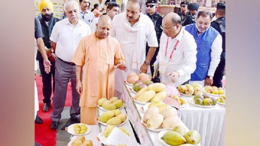 CM Yogi Adityanath in UP Mango Festival 2023