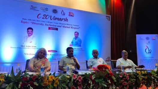 Civil society C 20