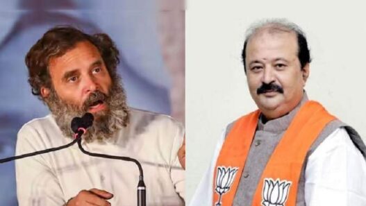 MLA Purnesh Modi reached SC in Modi surname case