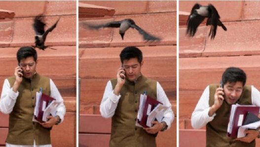 Crow attacked Raghav Chadha