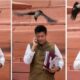 Crow attacked Raghav Chadha