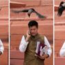 Crow attacked Raghav Chadha