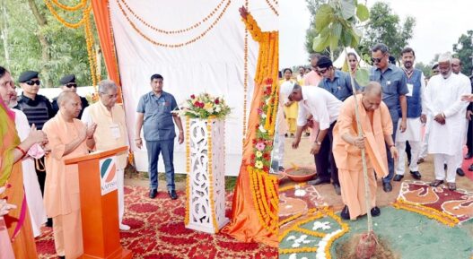 Yogi government planted more than 30 crore saplings in one day