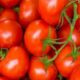 Dabangs became 'red' on tomatoes in Prayagraj