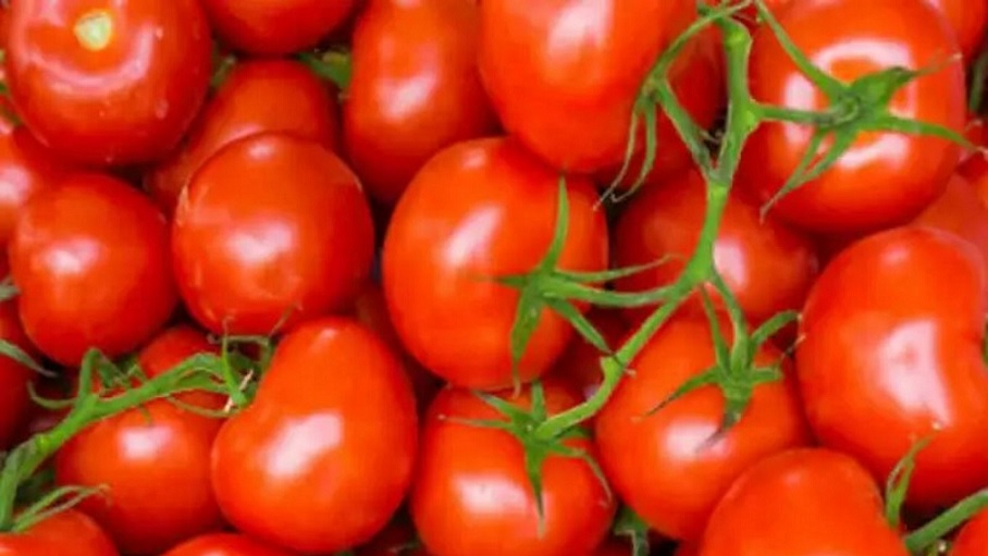 Dabangs became 'red' on tomatoes in Prayagraj