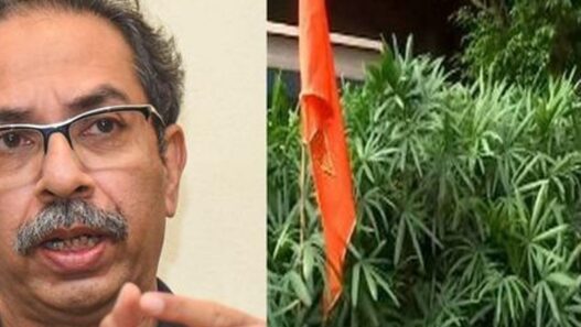 Saffron flags were put up before the I.N.D.I.A. meeting