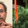 Saffron flags were put up before the I.N.D.I.A. meeting