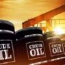 Crude Oil Import