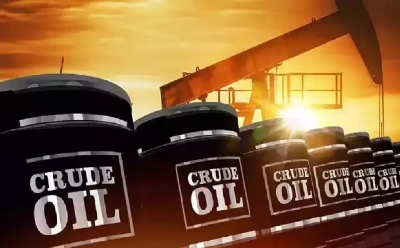 Crude Oil Import