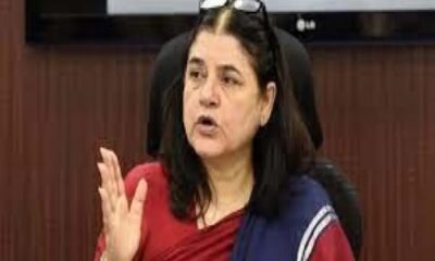 ISKCON is the biggest fraud Maneka Gandhi big allegation