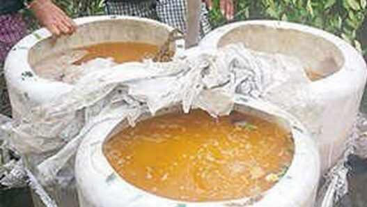 muzaffarpur hooch tragedy