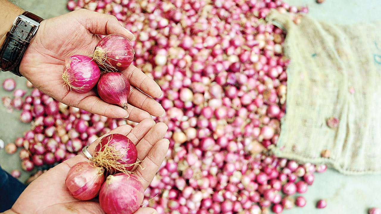 onion price