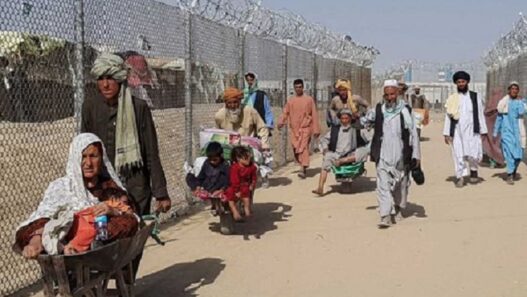 pakistan illegal immigrants