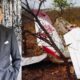 zimbabwe indian mining tycoon harpal randhawa and son include six died