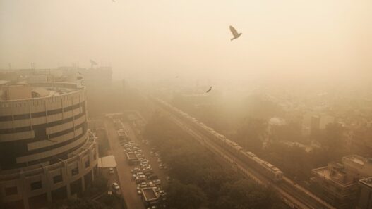 Delhi becomes the most polluted city in the world