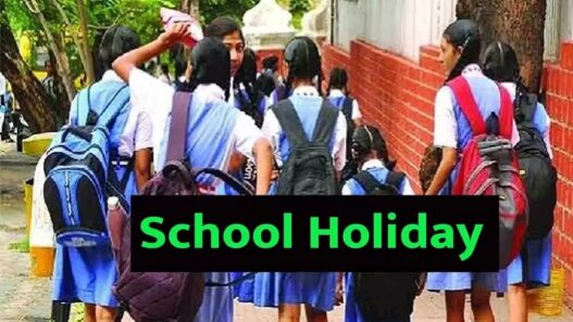 Delhi schools Holiday from 9th to 18th November