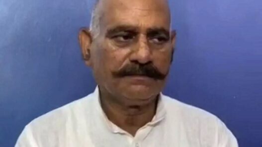 Former MLA Vijay Mishra sentenced