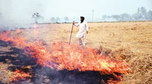 Haryana government is hiding incidents of stubble burning AAP alleges BJP