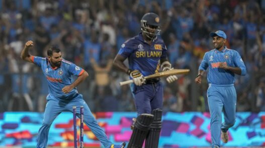 Sports Minister dismissed the entire cricket board