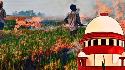 Supreme Court strongly reprimands Punjab government
