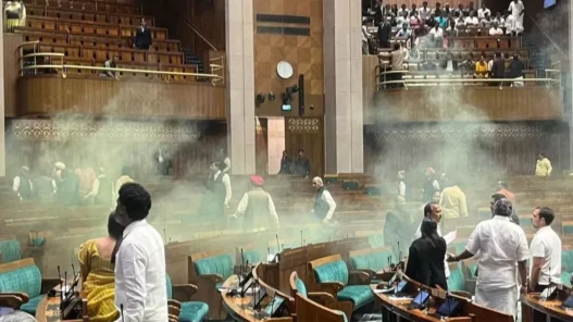 Breach in Parliament security