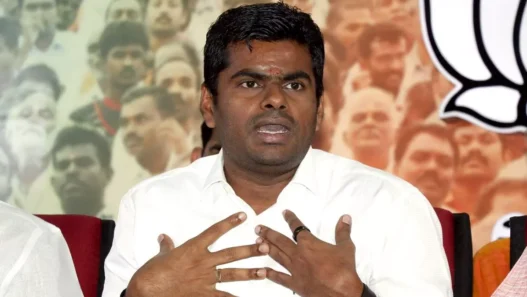 BJP attacks DMK