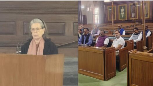 Sonia Gandhi addressed CPP meeting
