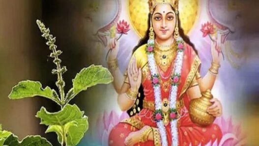 Tulsi Puja in Kharmas
