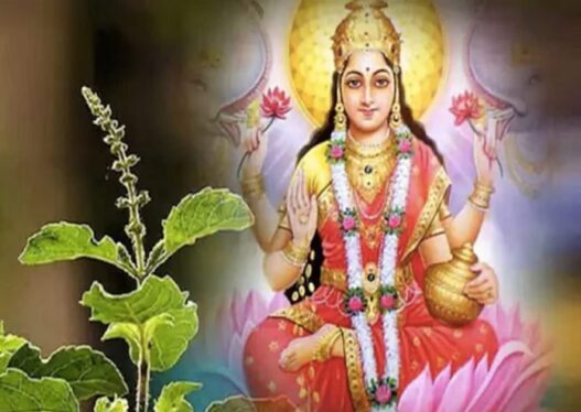 Tulsi Puja in Kharmas
