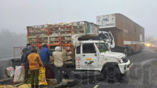 murgi loot in agra