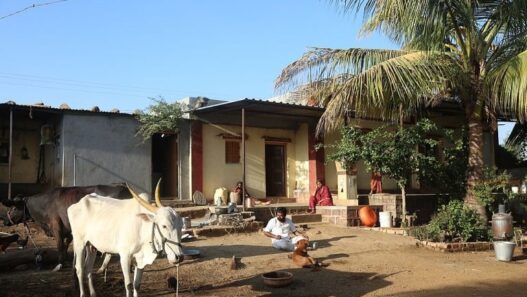 Awadhi rural environment of Ayodhya is attracting tourists