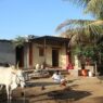 Awadhi rural environment of Ayodhya is attracting tourists