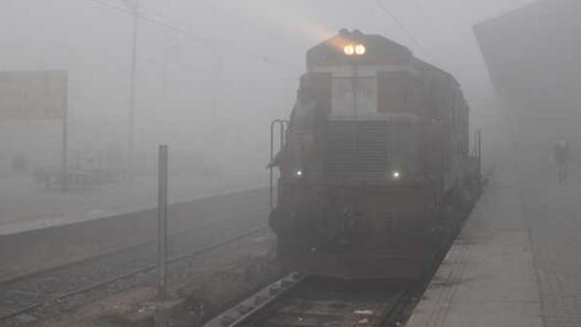 Delhi shivers due to severe cold