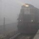 Delhi shivers due to severe cold