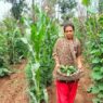 HDFC Bank Parivartan aims to empower rural development in Jharkhand