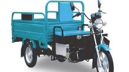 darshan of Ramlala through e-cart