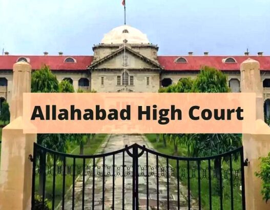 Allahabad High Court